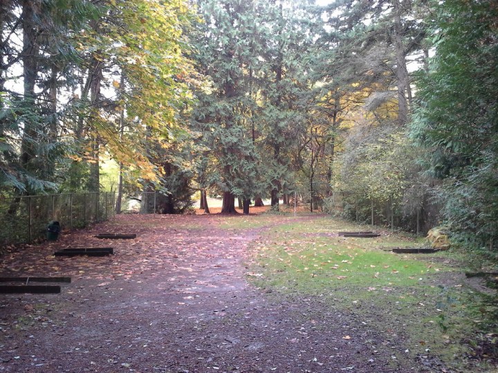 horseshoepit10-24-14