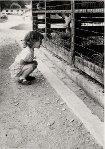 Like all kids, I loved the zoo when I was little.