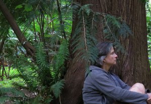 RW-TreeSeated-LincolnPark2015