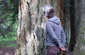 RWTree-3-LincolnPark2015