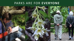 PetitionPhotoMontage5