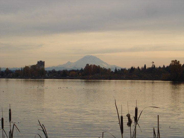 Mt. Rainier from the Montlake Fill, Seattle