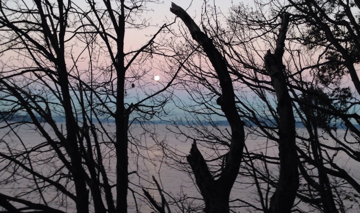Moonset Thanksgiving Day, 2015