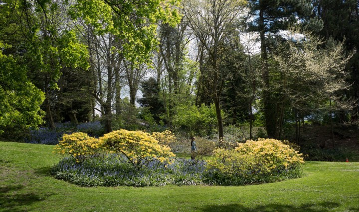 Volunteer Park, Seattle