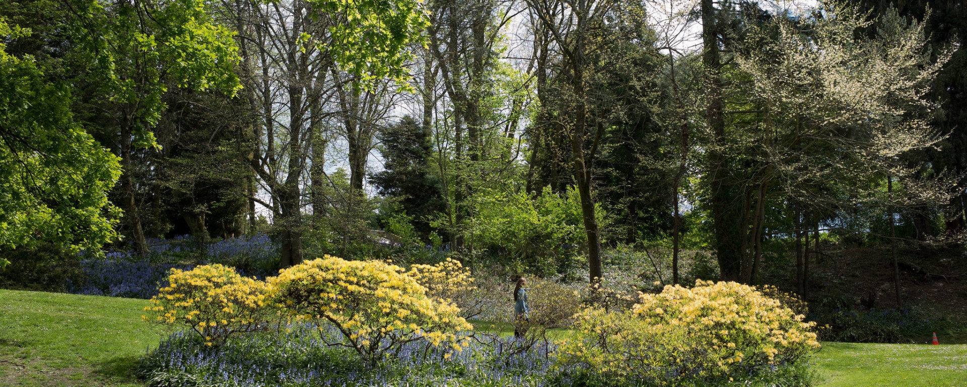 Volunteer Park, Seattle