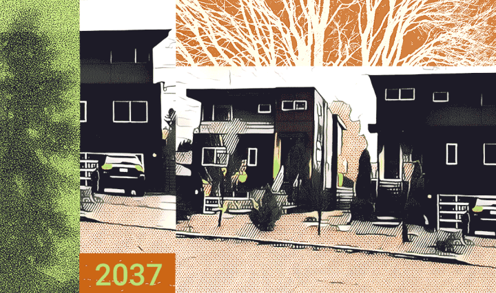 Trees amidst residential development