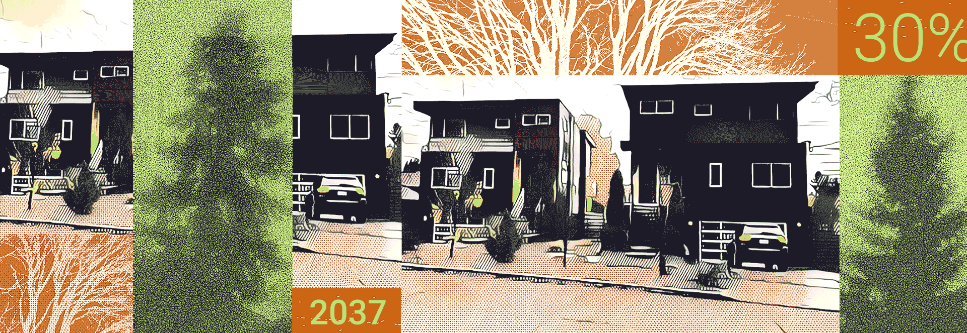 Trees amidst residential development